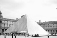 woman holding flowers