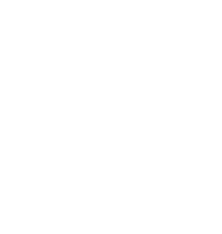 TIC-white_turtle