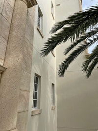 Palm Tree Leaves with a Neutral Building