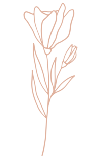 Pink illustration of wildflower