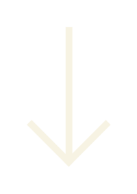 DaniPurington-Icon-Arrow