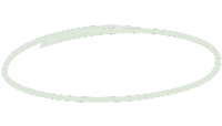 Lori Lubbers Oval Element