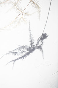 sourced-co-stock-photography-wedding-pros-publications-23