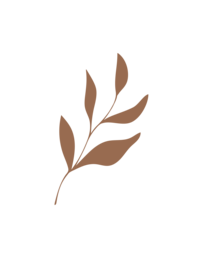 brown branch