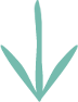 Only Sunshine Creative Studio Arrow in Teal