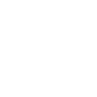 chelsea elizabeth photography logo