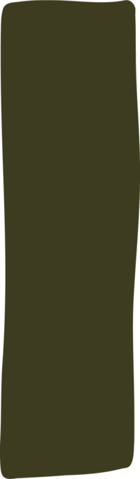 find a holistic life coach