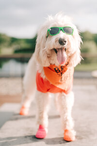 new jersey wedding photographer shooting a gorgeous elopements