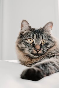 mathilde-langevin-k3FgkyVpzMc-unsplash