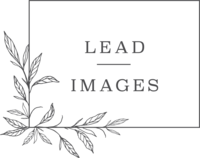 Lead Images Logo Charcoal RGB HR