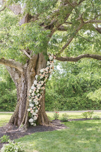 old wedding tree, big wedding tree, tree ceremony, wedding ceremony outdoors, virginia wedding venue
