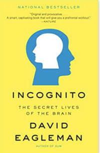 incognito: the secret lives of the brain