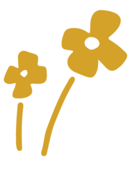 Flower icon created by APluss Creative for Jennifer Mosier Photography. 