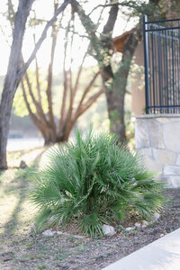 Texas Hill Country