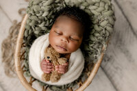 A Newborn baby posed in a basket prop holding a teddy bear in the Charleston, SC Newborn Studio.