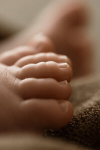 Blury Photography - Brisbane newborn photography - brisbane -photographer - ipswich - baby - photos - portraits 3
