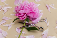 Natasha x MEP_Brand Alchemy (June '25)_051