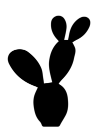 silhouette of desert plants