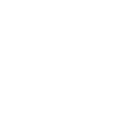 AllyB-Stacked-Logo-White2