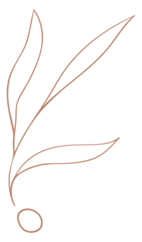 Plant Seed Icon_Salmon_Large_PNG