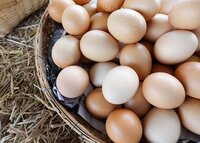 A bundle of farm fresh eggs as part of the Dairy Bundle, an add-on to the Harvest Box.
