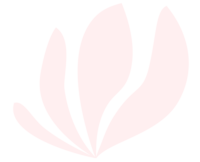 Transition brand pink icon
