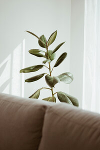 Customized therapy in San Diego tailored to individual client needs and goals.
