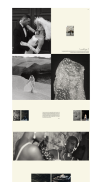 Dylan James showit website template
