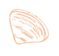 Orange, handdrawn shell icon
