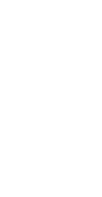white floral line drawing