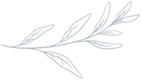 A part of Elizabeth Rose Lifestyle & Integrative Wellness Logo that includes tree branches