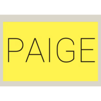 Paige Conlin, Paige Construction