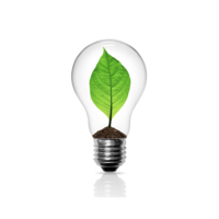A light bulb with a thriving plant inside, symbolizing the transformative growth and positive change clients experience through my services.