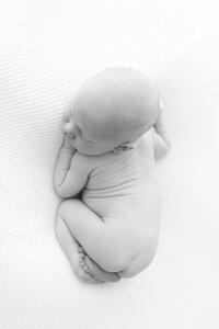 A birds eye view of a newborn baby laying on his stomach on a white blanket in black and white.