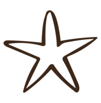 Bondi Marketing starfish icon brown