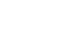 The Harley Davidson logo in white