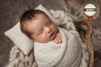 award  from the 2021 AFNS Awards    photography competition badge on the winning newborn photo