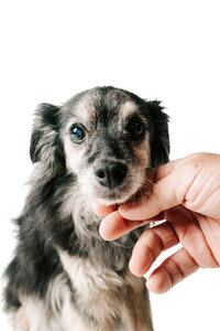 new jersey wedding photographer catching a moment with mom and daughter