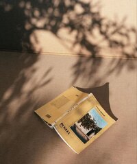 letöltés (19)