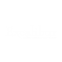 Immerse yourself in the magic of Excalibur: Hotel and Casino. Discover a legendary destination for unforgettable experiences.