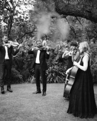 Luxury Wedding Music