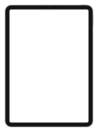 Apple iPad Pro 11 Space Gray - Portrait