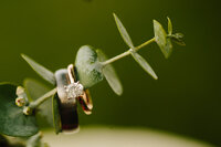 Jackson Hole photographers capture leaves with wedding rings on it