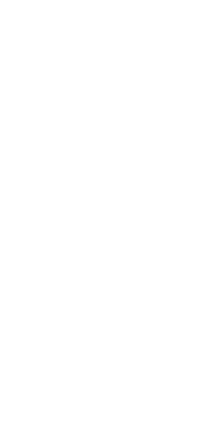 cactus graphic