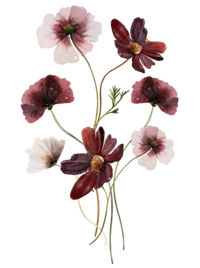 Wildflowers-Bouquet-23