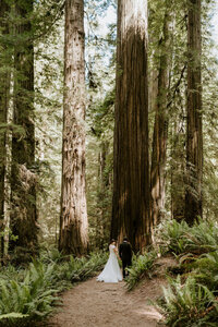 bride and groom kissing on mountain