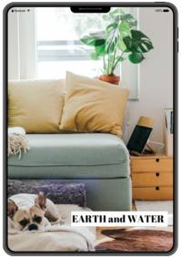 earth water couple feng shui element book by rodika tchi - your personal energy - feng shui home and life makeover with rodika tchi feng shui master consultant vancouver bc canada