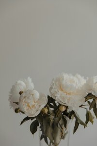 patrick-langwallner-VIjbf-BkOoo-unsplash