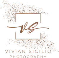 VS logo FINAL color (1)