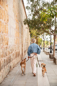 Sasha leading two dogs on walk through town